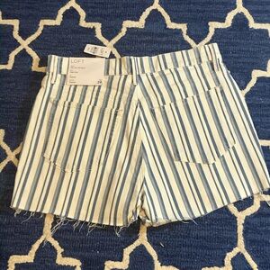 LOFT Blue and White Striped Jean Shorts